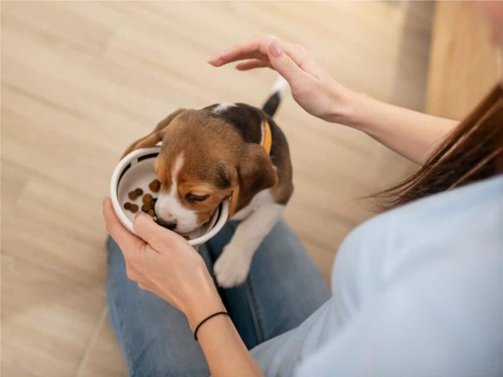What to Look for in Quality Puppy Food