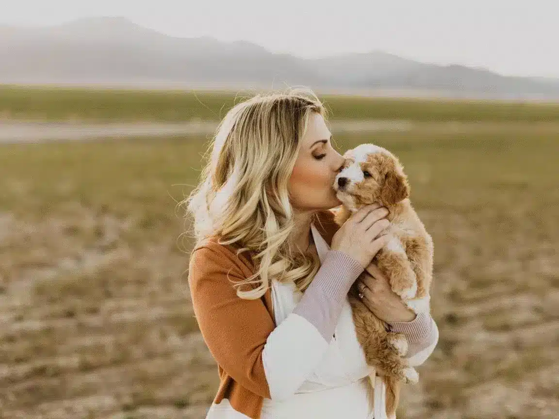Why Find a reputable dog breeder
