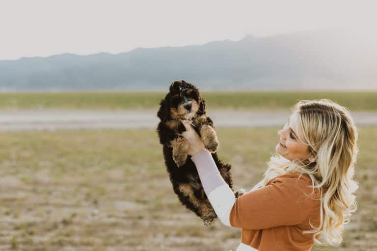 Cassie Milar holding a Bernedoodle