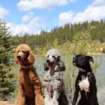 4AF76A28-F84B-4A4A-AD77-C8989A9482C9