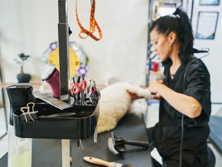 dog grooming tips