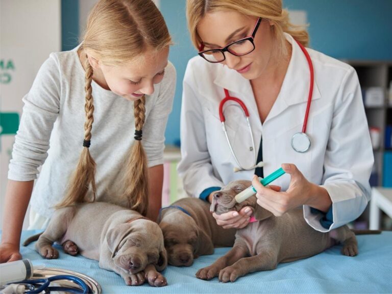 Puppy Health Essentials for healthy puppies