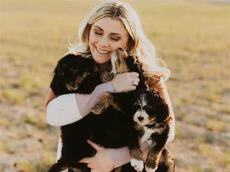 Playtime Safety Tips: Essential Precautions for Dog Owners