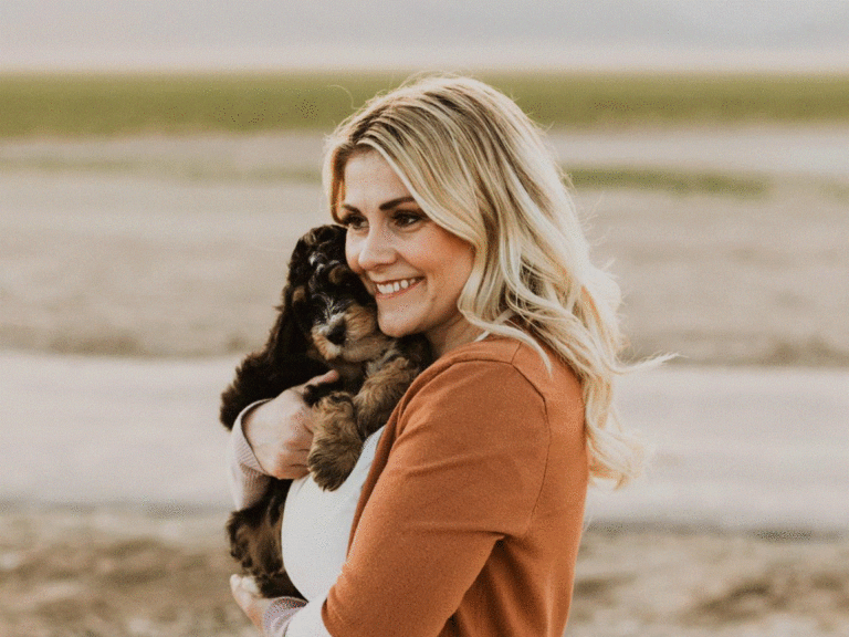 Havapoo Puppies for sale near me, Havapoo Puppies For Sale Near Me, Poovanese, Havadoodle