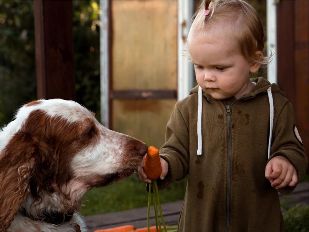Healthy Snacks for Puppies