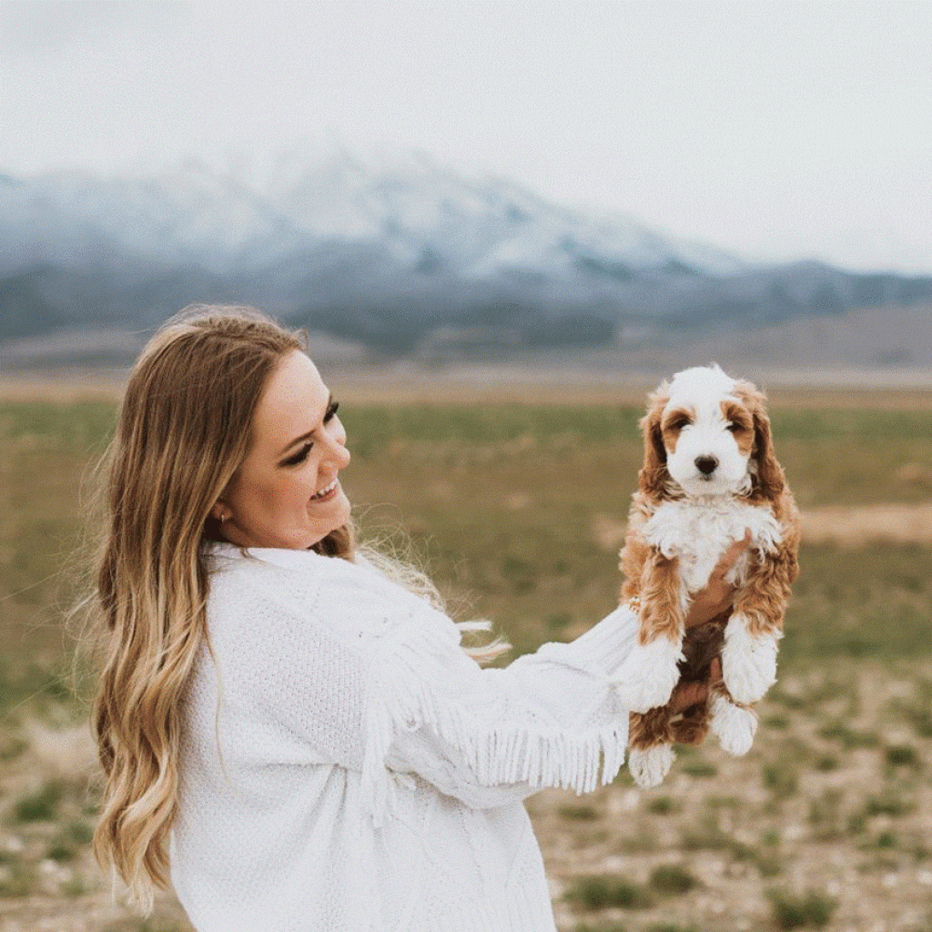 What to Consider Regarding a Dog’s Potential for Playfulness: Factors to Know