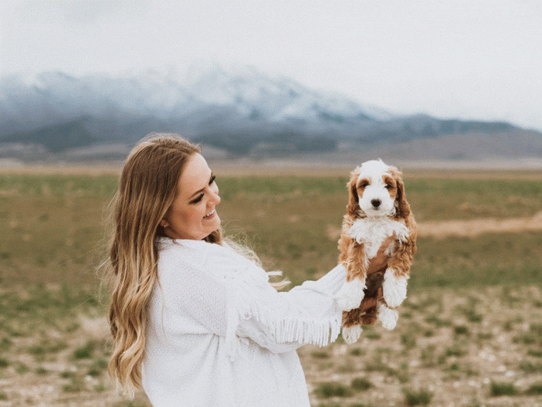 Dog Playfulness potential