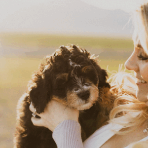 Training Tips for Dogs Living in Apartments: Best Practices for Small Spaces