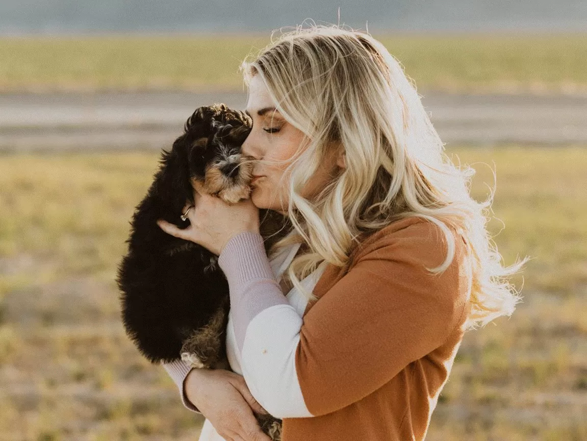 Goldendoodle breeder