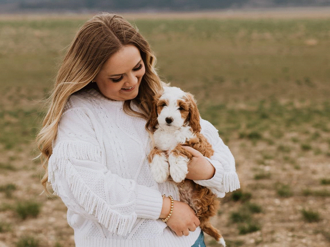 Havanese breeder near me (3)