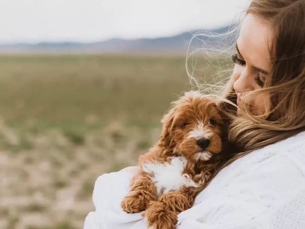 Why Finding a Reputable Dog Breeder Matters: Key Reasons to Consider ?