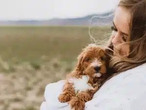 Why Finding a Reputable Dog Breeder Matters: Key Reasons to Consider ?