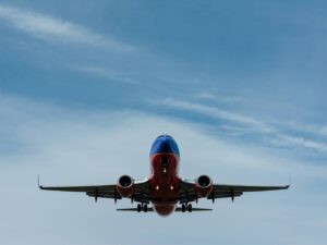 Puppy Delivery Services – Lady Paws Puppies