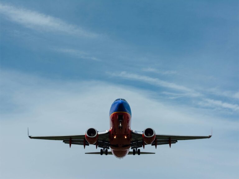 Puppy Delivery Services – Lady Paws Puppies