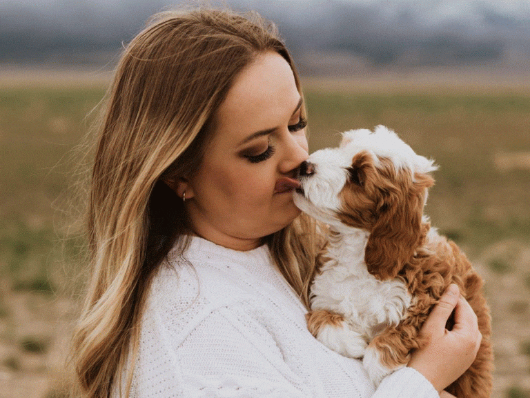 Traits friendly dog toward strangers