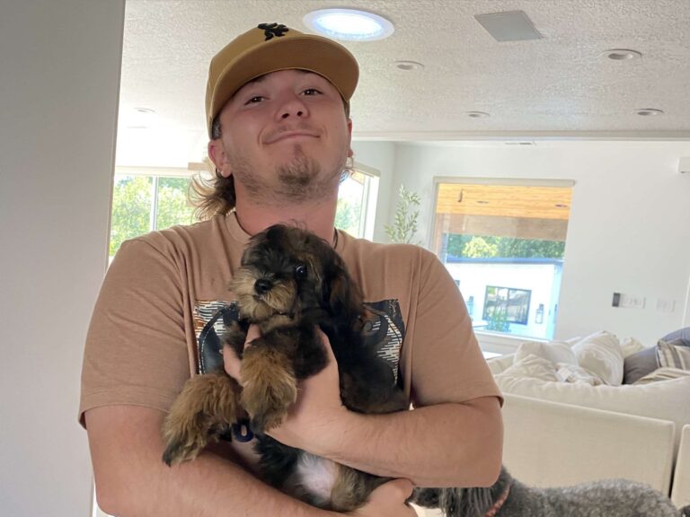 puppy delivery services (1)