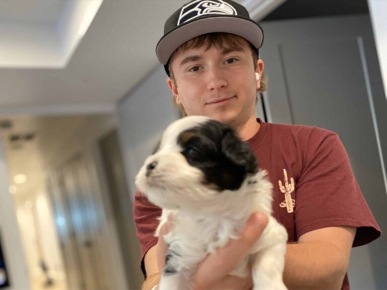 puppy delivery services (12)