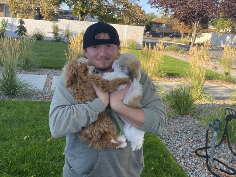 puppy delivery services (2)