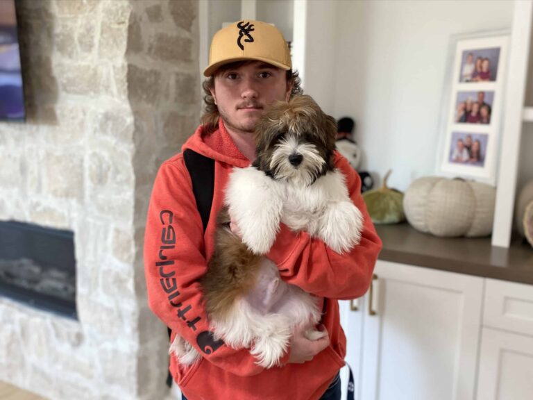 puppy delivery services (5)