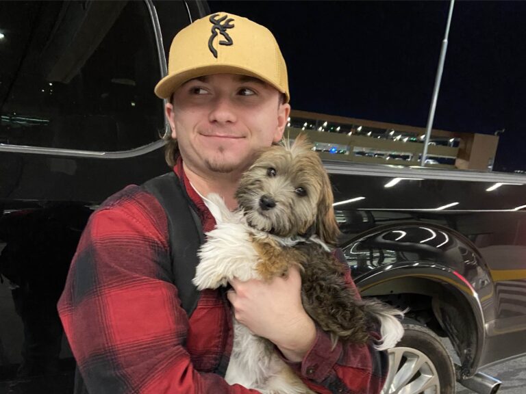 puppy delivery services (7)