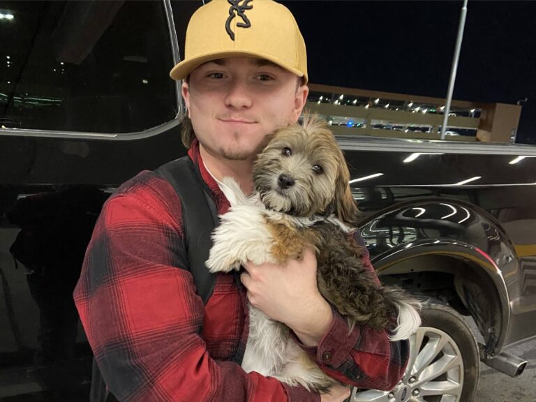 puppy delivery services (8)