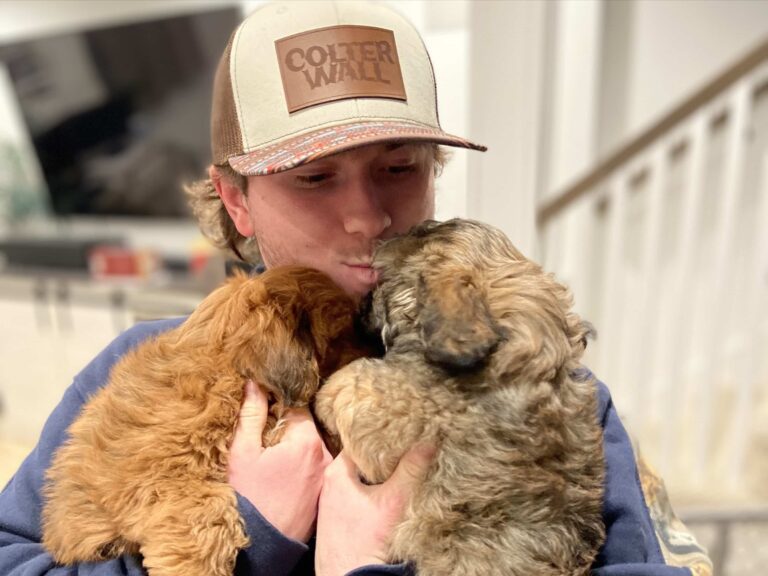 puppy delivery services (9)