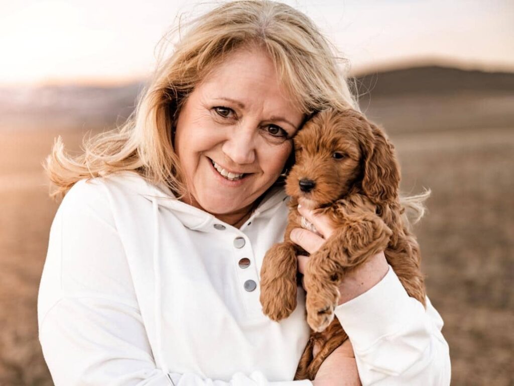 Cavapoo playing with cat, cavapoo with other dogs, friendly cavapoo with rabbit