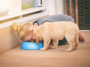 🐶 Understanding Puppy Nutrition: What to Feed Your New Best Friend