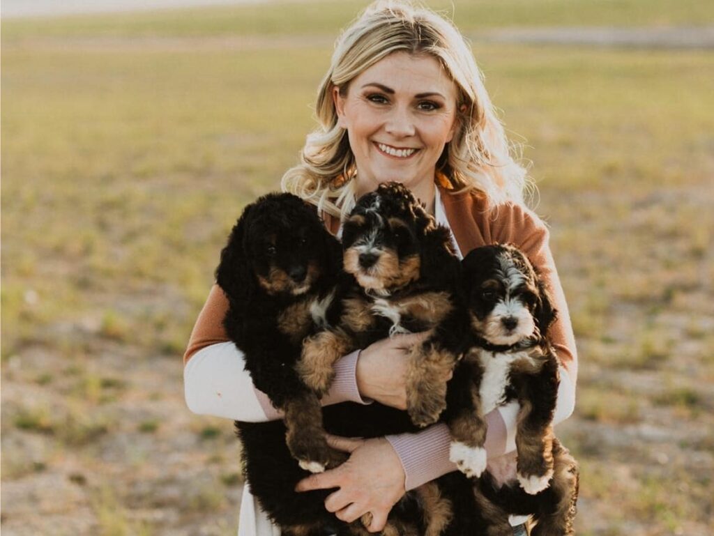 F1 Bernedoodle for Sale in Tennessee