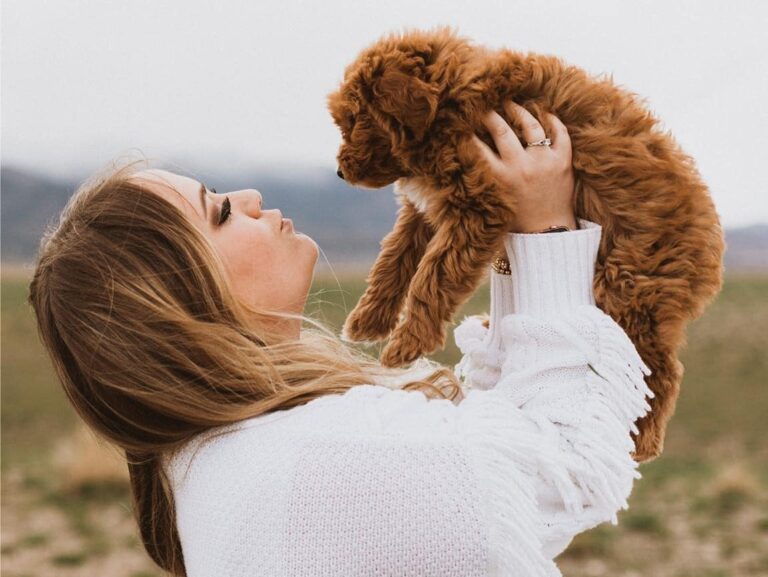 Family Adopting a Puppy – How to Choose the Right Dog