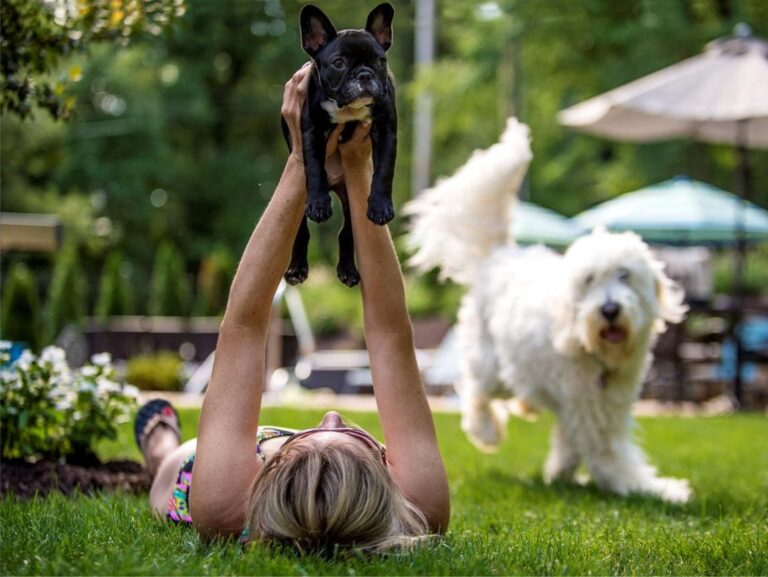 Puppy Playing Outdoors – Flea and Tick Prevention for Puppies